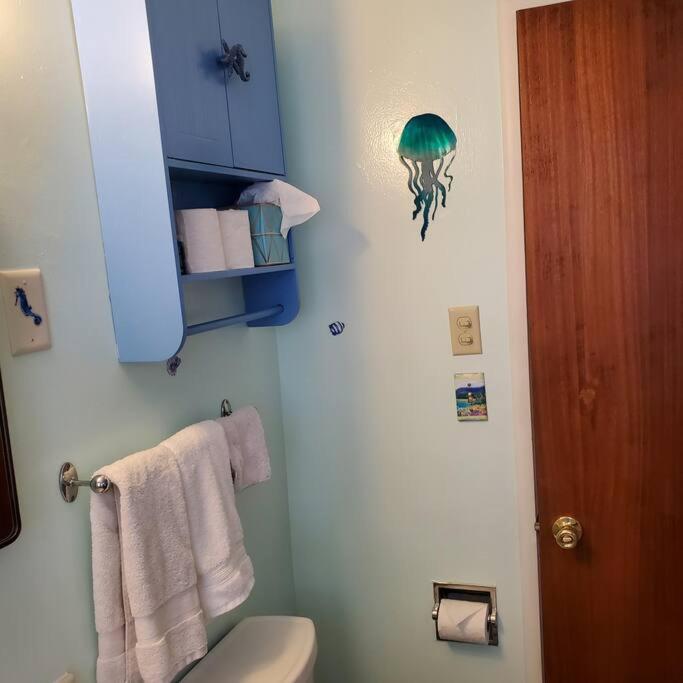 Sweet 2 Bedroom Close To U Of Oregon & Track! Eugene Luaran gambar