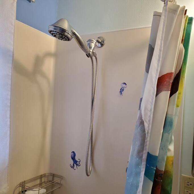 Sweet 2 Bedroom Close To U Of Oregon & Track! Eugene Luaran gambar