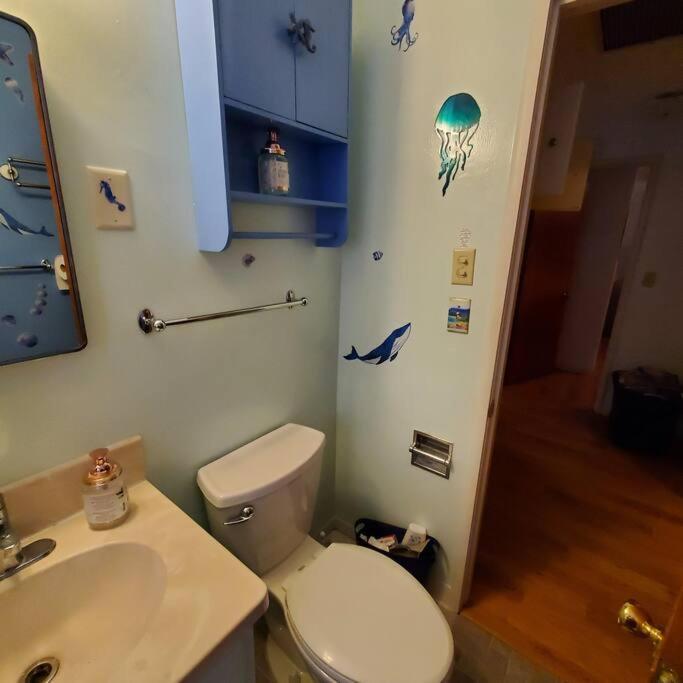 Sweet 2 Bedroom Close To U Of Oregon & Track! Eugene Luaran gambar